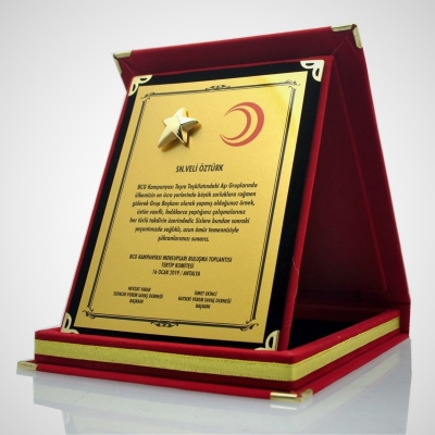 Yıldızlı Albüm Plaket Modelleri